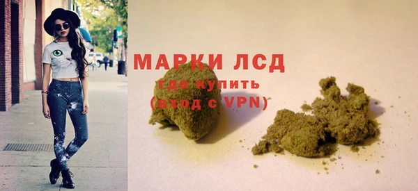 сатива Пересвет