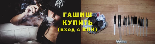 сатива Пересвет