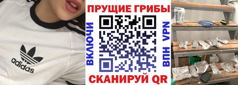 Галлюциногенные грибы GOLDEN TEACHER  хочу наркоту  Сафоново 