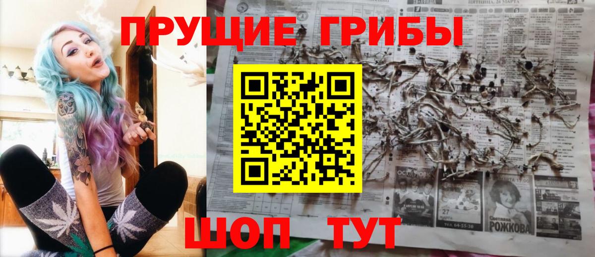 Псилоцибиновые грибы Cubensis Сафоново