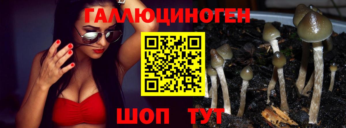 Псилоцибиновые грибы Psilocybine cubensis  Вход с VPN  Сафоново  Псилоцибиновые грибы Cubensis 